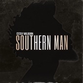 Southern Man artwork