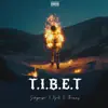 T.I.B.E.T (feat. Ngale & Tnammy) - Single album lyrics, reviews, download