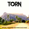 Torn - Single (feat. Chas Evans) - Single album lyrics, reviews, download