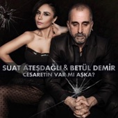 Cesaretin Var Mı Aşka (Tayfun Özkan Remix) [feat. Betül Demir] artwork