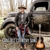 Good Ole Country Song - Single