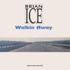 Brian Ice - Walking Away (Vocal Extended)