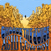 Acid Cowboy artwork