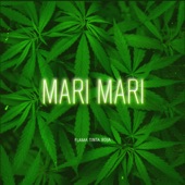 mari mari (2022 Remastered Version) artwork