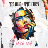 אהבה כזאת artwork