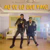 Stream & download No se lo que paso - Single