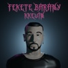 Fekete Bárány - Single