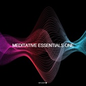 Meditative Essentials One artwork