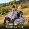 Stâna Lu’ ion - Single