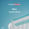 Summer Breeze - Single