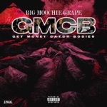 Big Moochie Grape - Get Money Catch Bodies