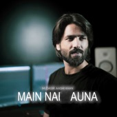 Main Nai Auna artwork