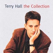 Terry Hall: The Collection artwork