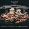 Chocolate Starfish and the Hot Dog Flavored Water album lyrics, reviews, download
