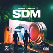 SDM (Spray D Money) artwork