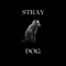 Stray Dog - Josh Martin lyrics