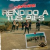 Rendido a Tus Pies - Single
