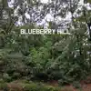Blueberry Hill song lyrics