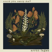 Arran Fagan - Could You Carry Me?  - NEW
