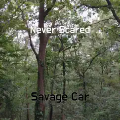 Never Scared Song Lyrics