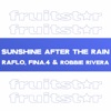 Sunshine after the Rain - EP