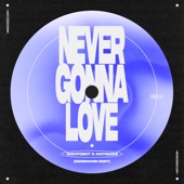 Never Gonna Love (goddard. Edit) artwork