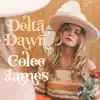 Stream & download Delta Dawn (feat. John Popper) - Single