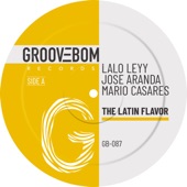 The Latin Flavor artwork