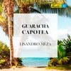 Lisandro Meza - Charanga Meza