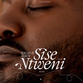 Sise Ntweni artwork