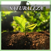 Naturaleza artwork