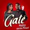 GATÉ (feat. Warren Permal) - Single