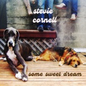 Stevie Cornell - Drunkard's Lullaby