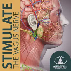 Stimulate the Vagus Nerve: Healing Audio Therapy, Reduce Stress & Release Trauma, Nerve Regeneration Isochronic Tones by Mindfulness Meditation Music Spa Maestro album reviews, ratings, credits