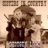 Shotgun Love - Single