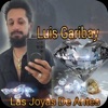 Luis Garibay - Apesar De Todo (Luis Garibay)