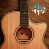Acoustic Guitar Backing Tracks For Guitar, Singers, Songwriters album lyrics, reviews, download