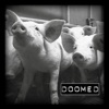 Doomed