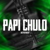 Papi Chulo - Single