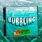 Bubbling Riddim artwork