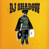 DJ Shadow - Broken Levee Blues