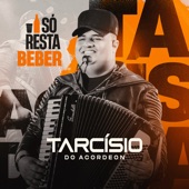 Só Resta Beber artwork