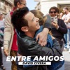 Entre Amigos - Single