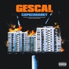 GESCAL - Single