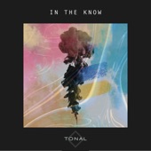 In the know (feat. MISATO) artwork