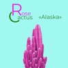 Alaska - Single