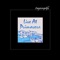 Too Late Now (Soulwax Remix) - Wet Leg lyrics