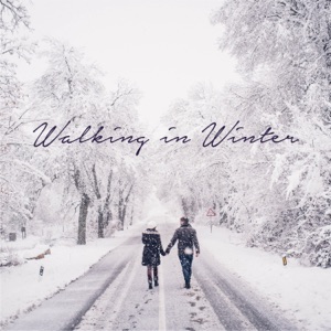 Walking In Winter