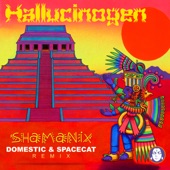 Shamanix (Domestic & Spacecat Remix) artwork