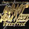 What You Need Freestyle (feat. Quentin Gilmore) - Single album lyrics, reviews, download